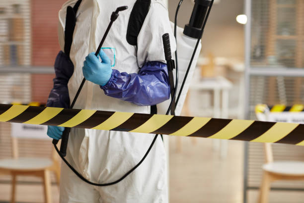 Professional Odor Removal technician working in Stow, OH